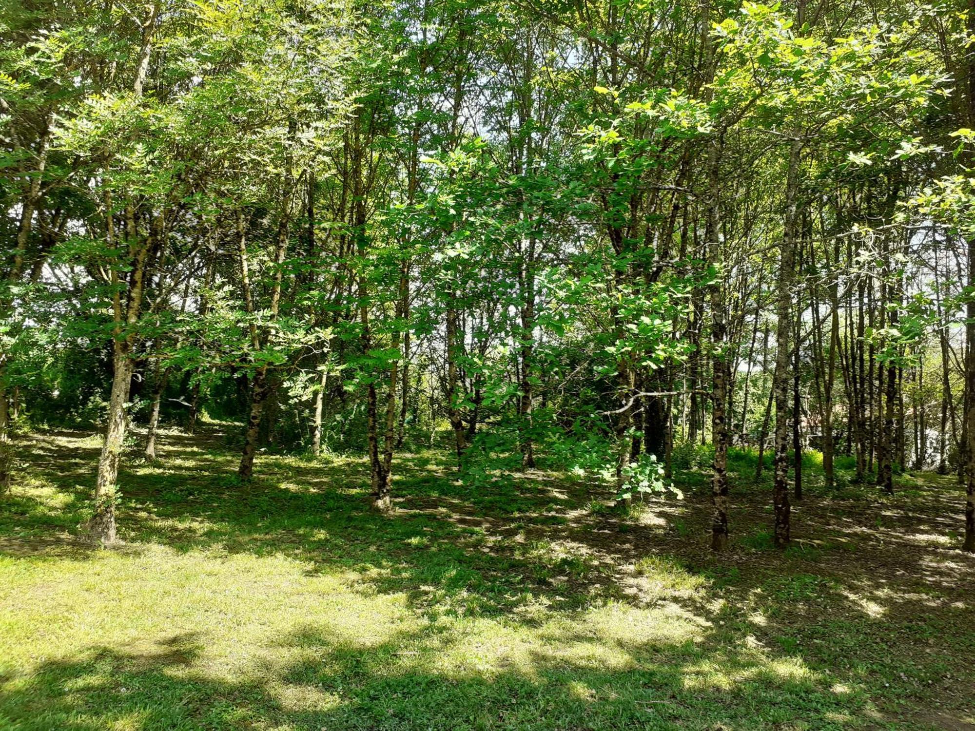 La Villa Le Petit Bois, Pres Rocamadour, Padirac Lavergne  Exteriör bild